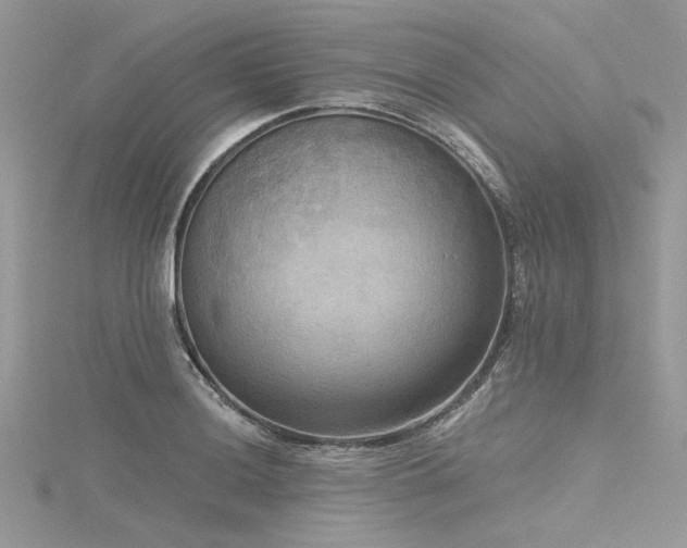 X0000116301036200911301438