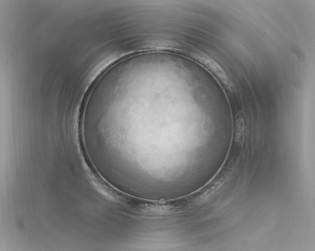 X0000116301039200911301438