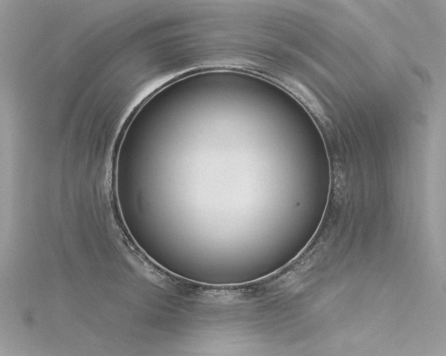 X0000116301044200911301438