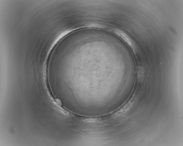 X0000116301048200911301438