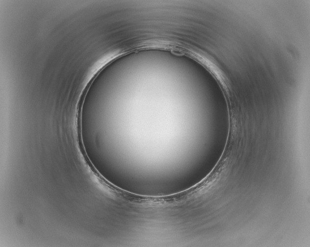X0000116301050200911301438