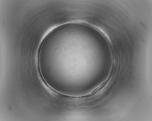 X0000116301054200911301438