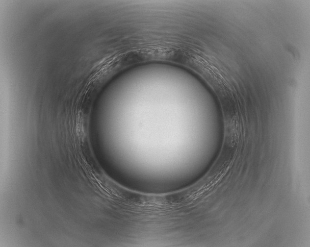 X0000116301058200911301437