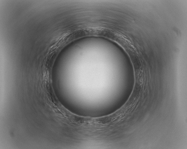 X0000116301061200911301437