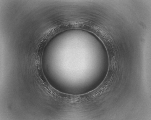 X0000116301062200911301437
