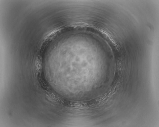 X0000116301063200911301437
