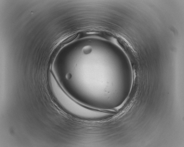 X0000116301065200911301437