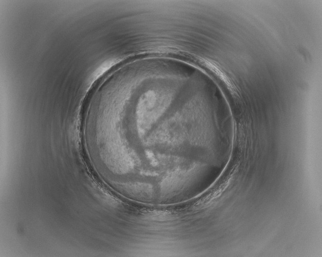 X0000116301071200911301437