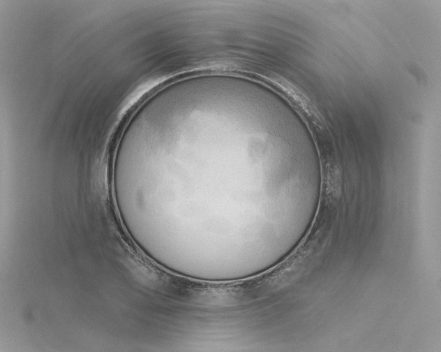 X0000116301078200911301437