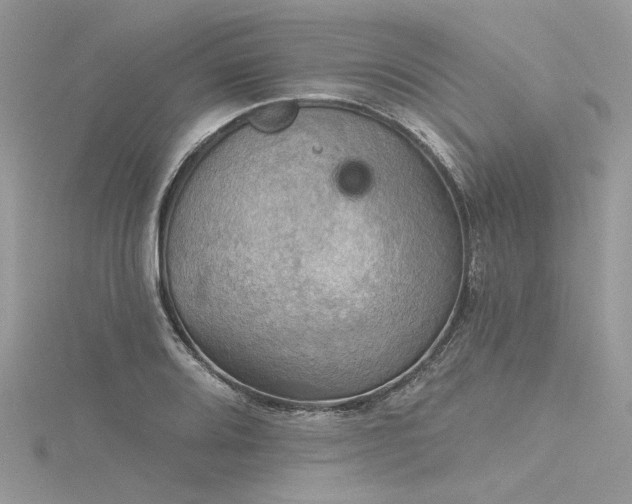 X0000116301080200911301437