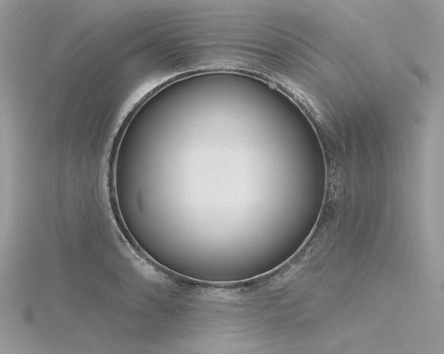 X0000116301086200911301437