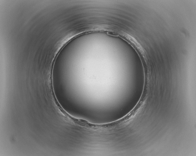 X0000116301089200911301437