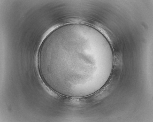 X0000116301098200911301437