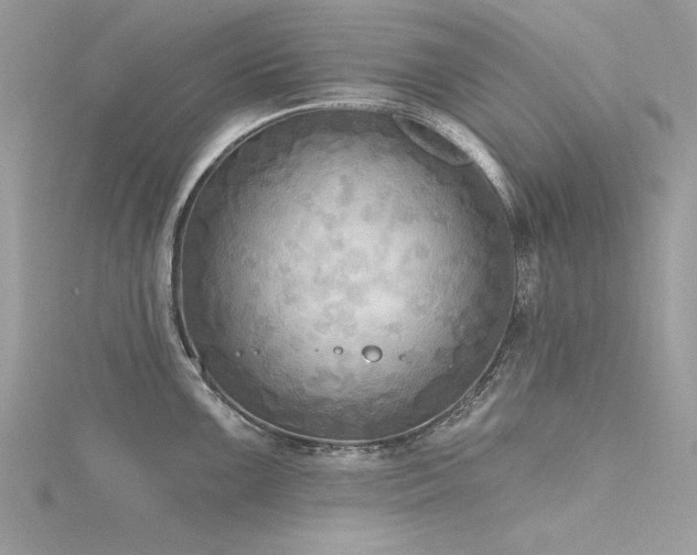 X0000116301099200911301437