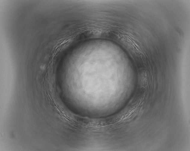 X0000116301105200911301436