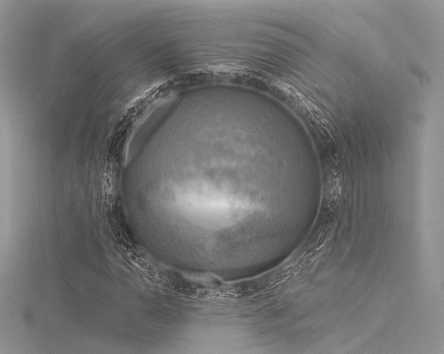 X0000116301110200911301436