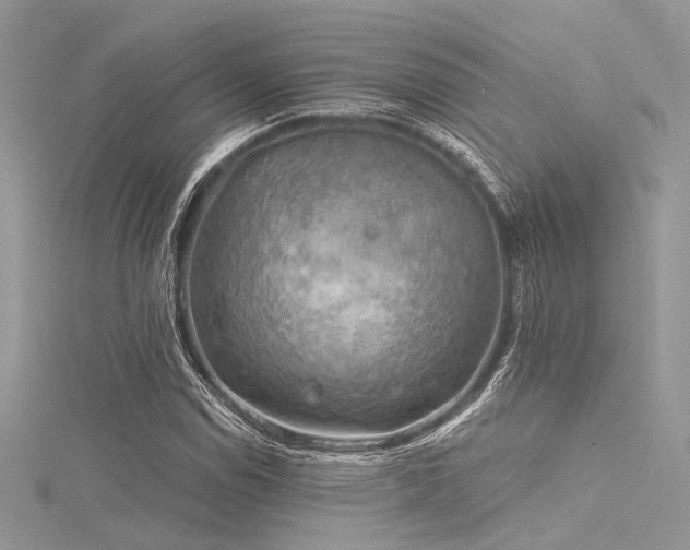 X0000116301114200911301436