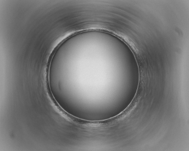 X0000116301134200911301436
