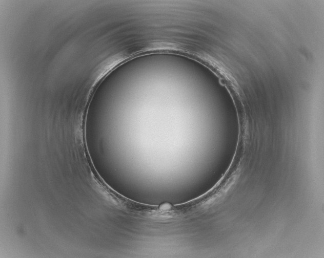 X0000116301137200911301436