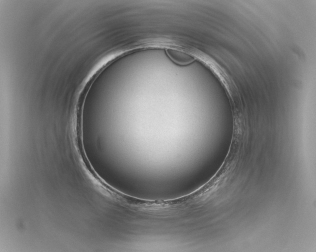 X0000116301147200911301437