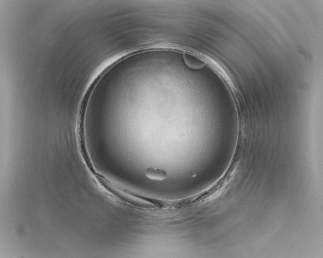 X0000116301149200911301437