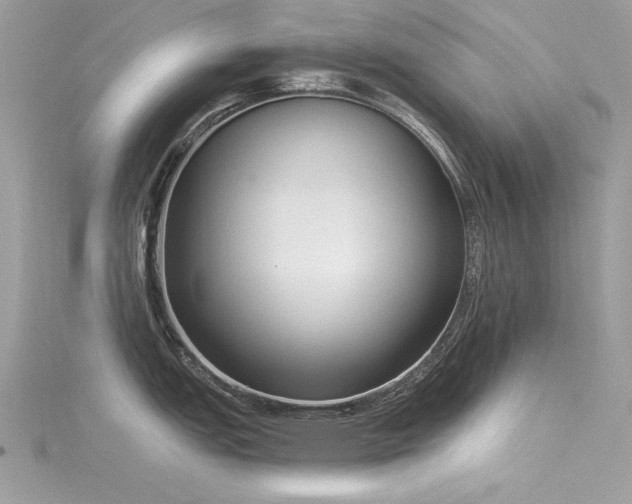 X0000116301151200911301437