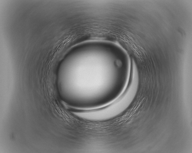 X0000116301153200911301436