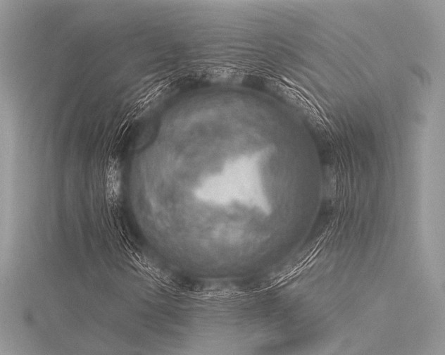 X0000116301154200911301436