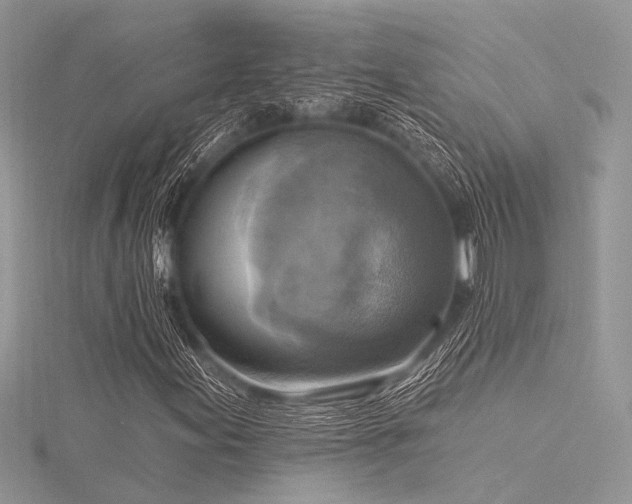 X0000116301155200911301436