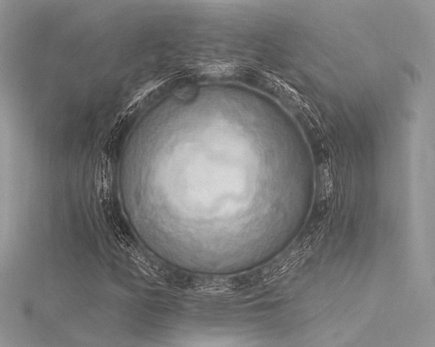 X0000116301158200911301436