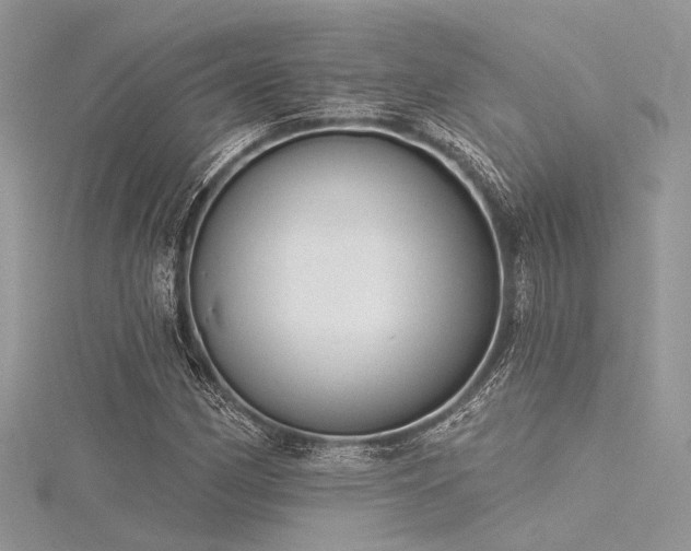X0000116301162200911301436