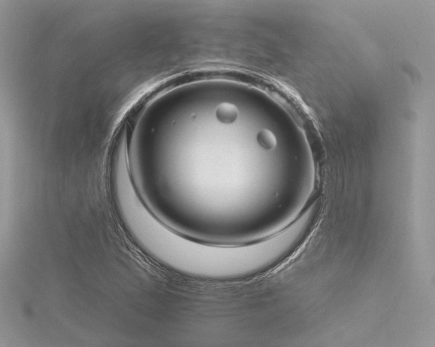 X0000116301167200911301436