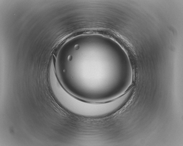 X0000116301169200911301436