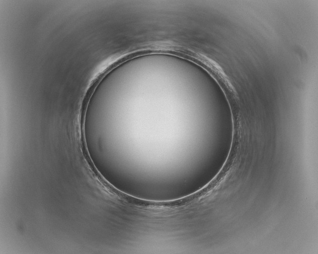 X0000116301176200911301436