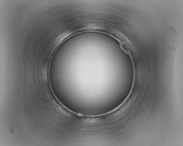 X0000116301177200911301436