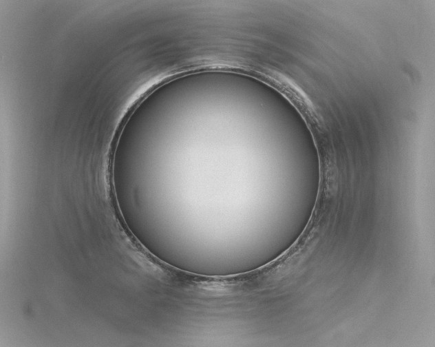 X0000116301182200911301436
