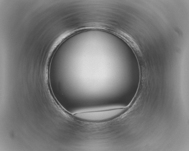 X0000116301188200911301436