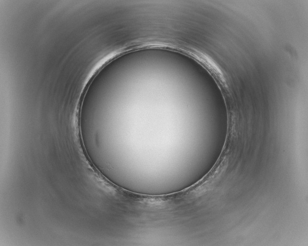 X0000116301190200911301436