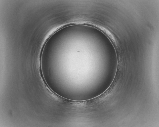 X0000116301191200911301436