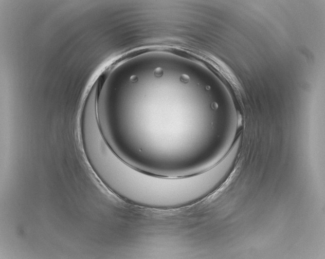 X0000116301196200911301435