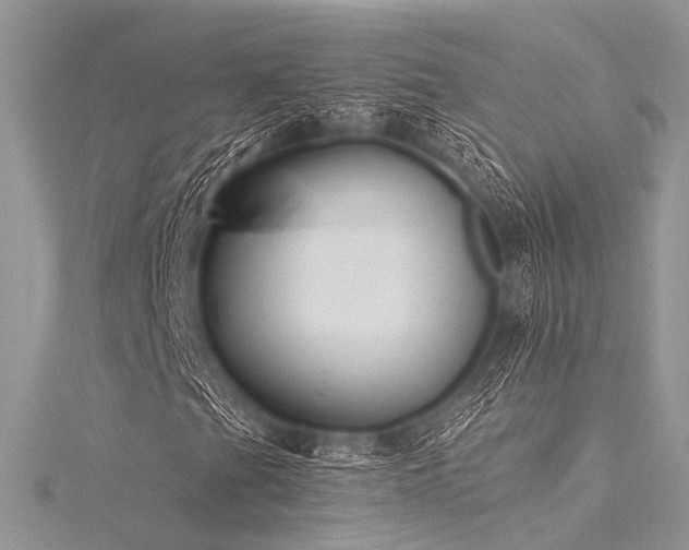 X0000116301201200911301435