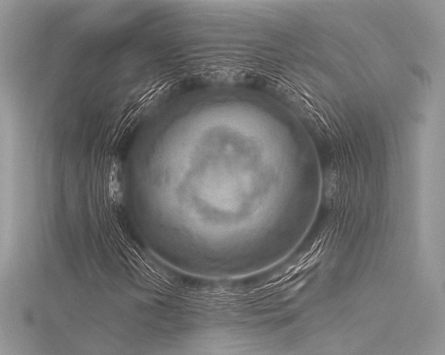 X0000116301202200911301435