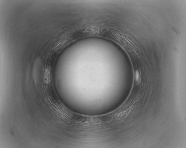 X0000116301203200911301435