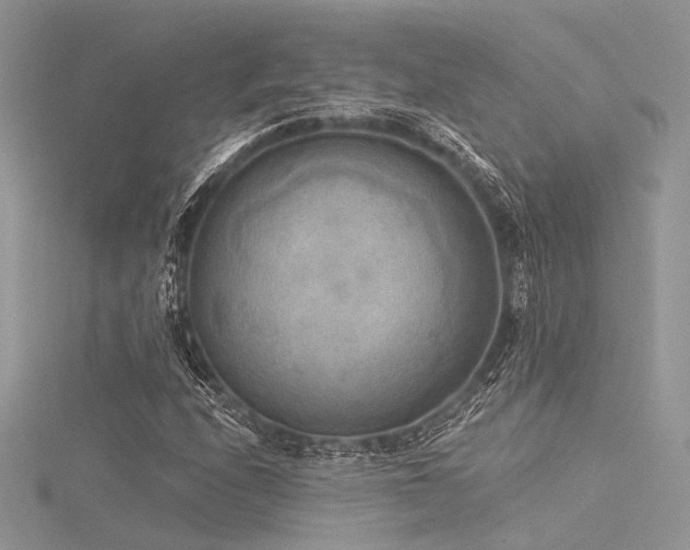 X0000116301208200911301435