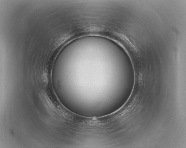 X0000116301209200911301435