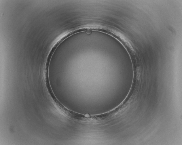 X0000116301229200911301435