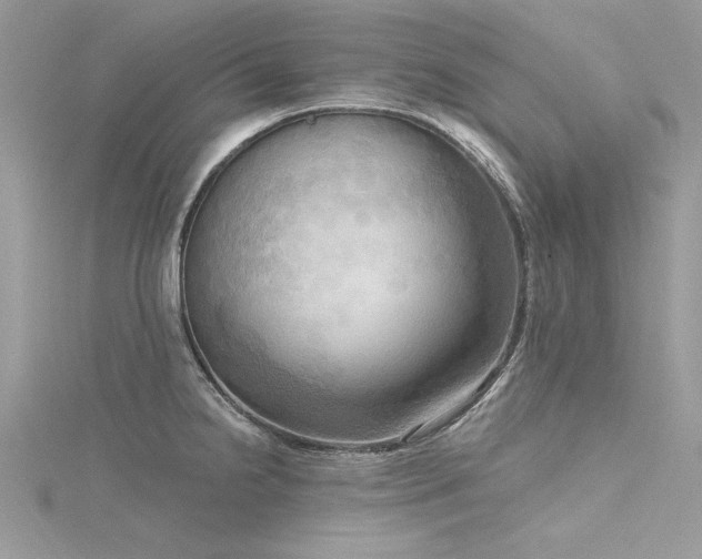 X0000116301238200911301435