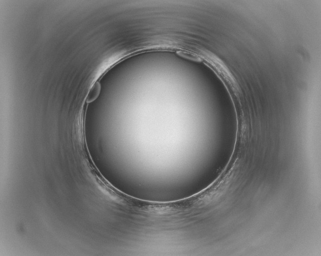 X0000116301242200911301435