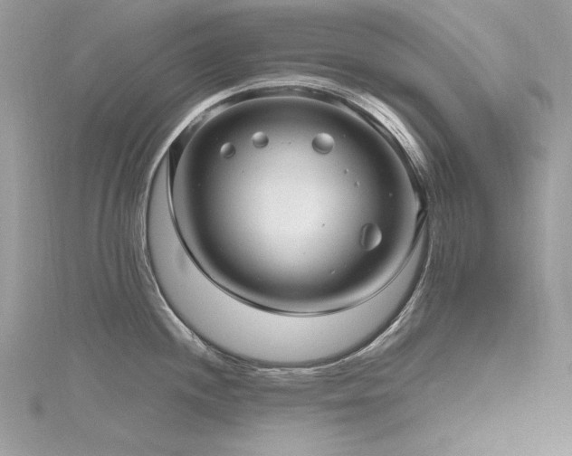 X0000116301244200911301435