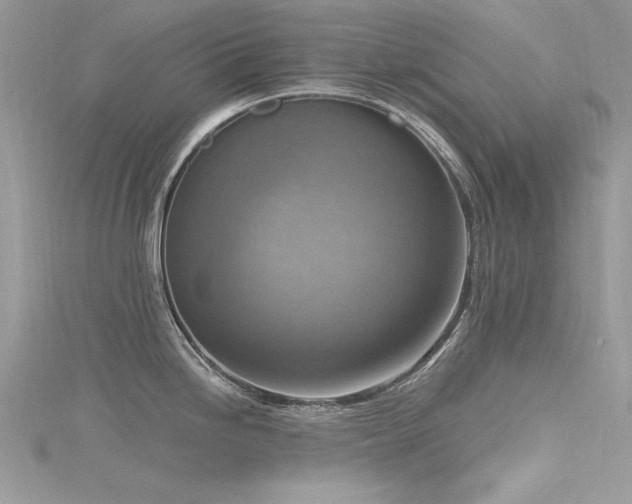 X0000116301246200911301435